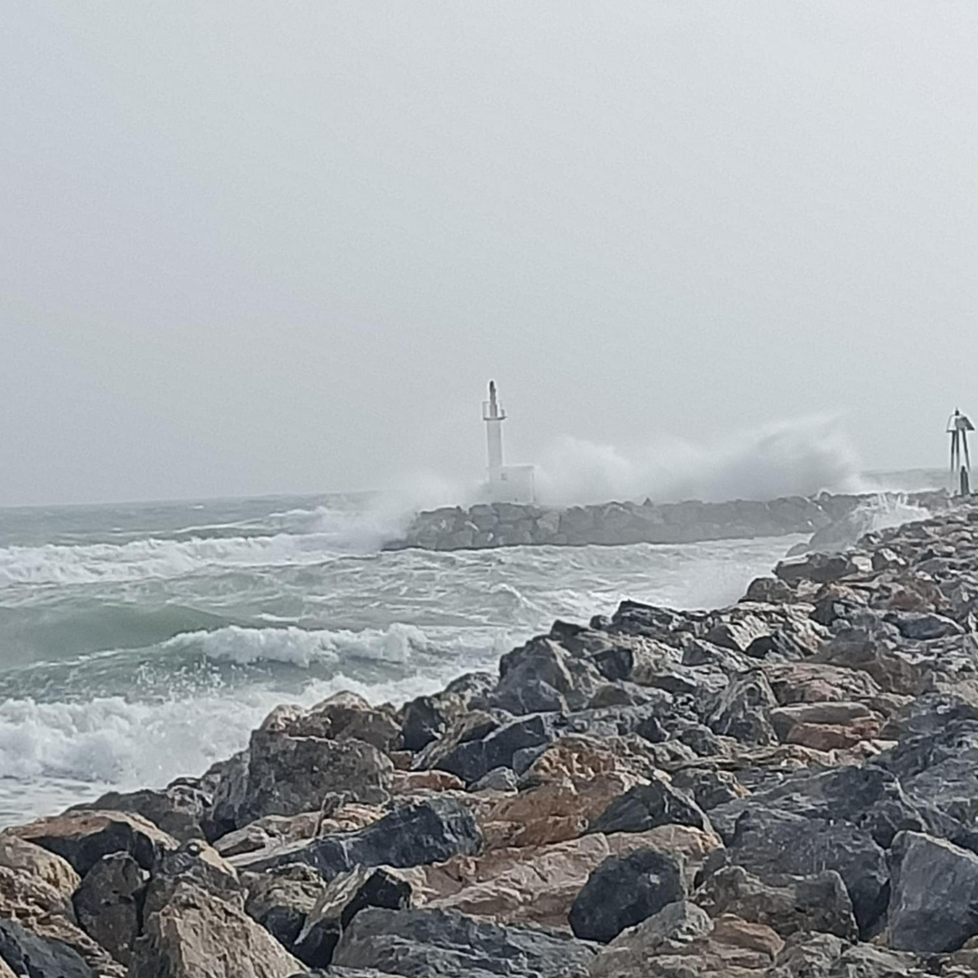 Studio Les Pieds Dans L'Eau App N°7 Le Barcarès المظهر الخارجي الصورة